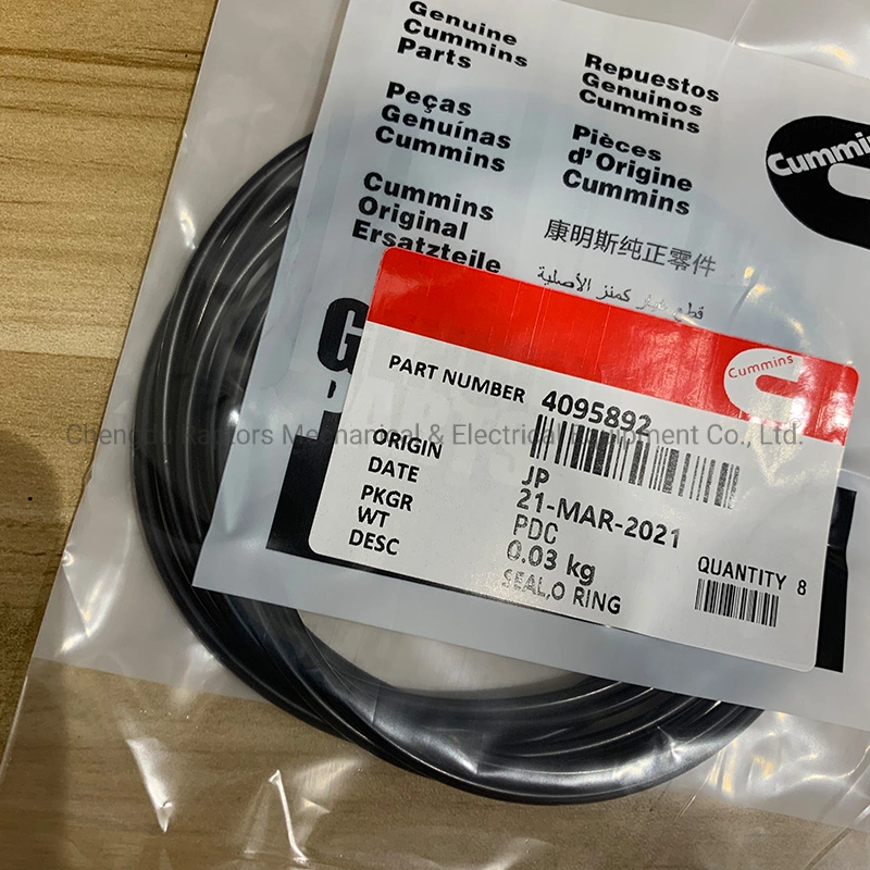 Cummins Engine Part O-Ring Seal 4095892 for Cummins Qsk23 Engine