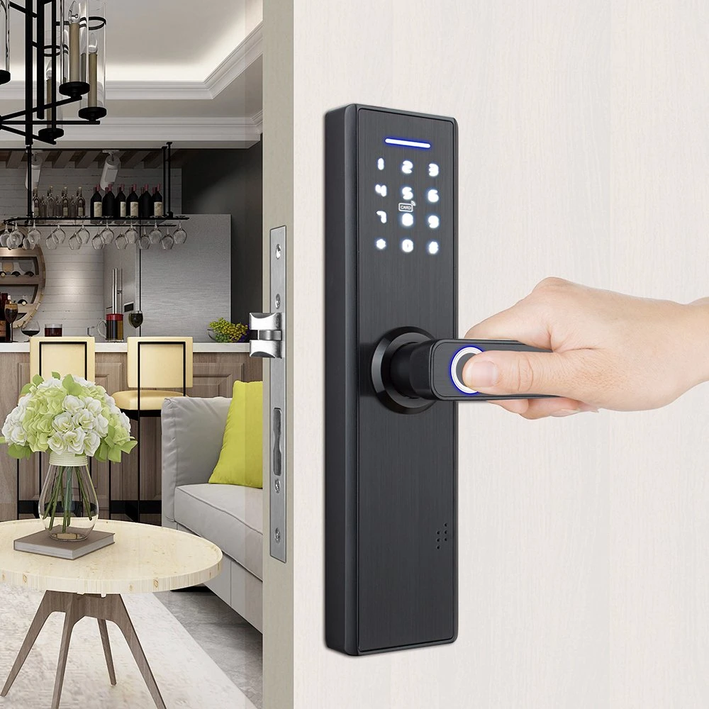 Smart se bloquea, cerradura de puerta de entrada sin llave, cerradura de puerta inteligente, con teclado, cerradura de puerta Bloqueo inteligente puerta delantera, cerradura de puerta biométricos de huellas dactilares, inteligente, con la palanca de bloqueo