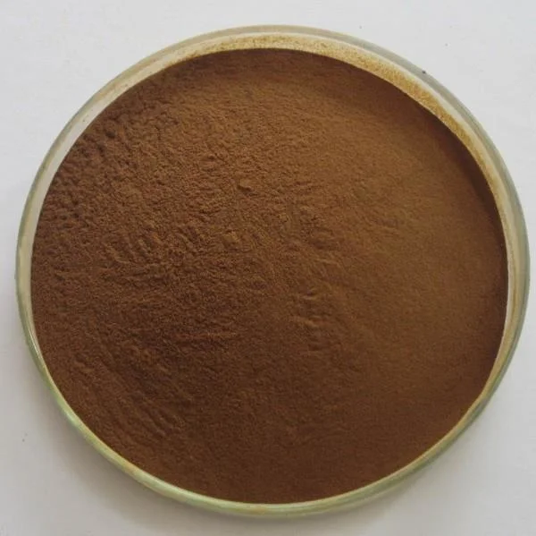 High quality/High cost performance  98% Amygdalin Powder Bitter Apricot Seed Extract/Apricot Fruit Powder Extract