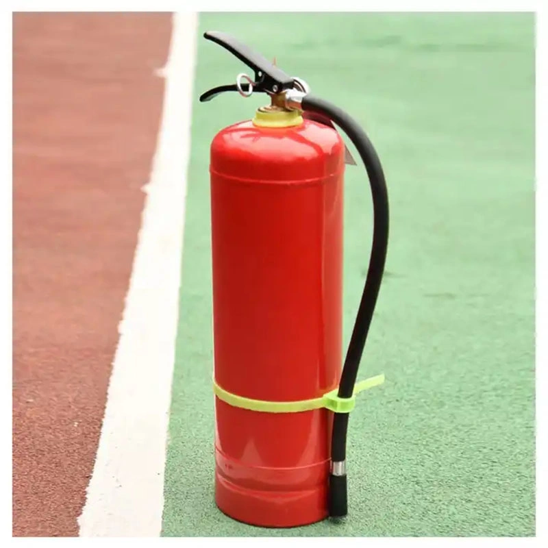 Portable 1.0kg-12kg DCP Dry Powder/ CO2 and Foam Fire Fighting Extinguishers with Accessories