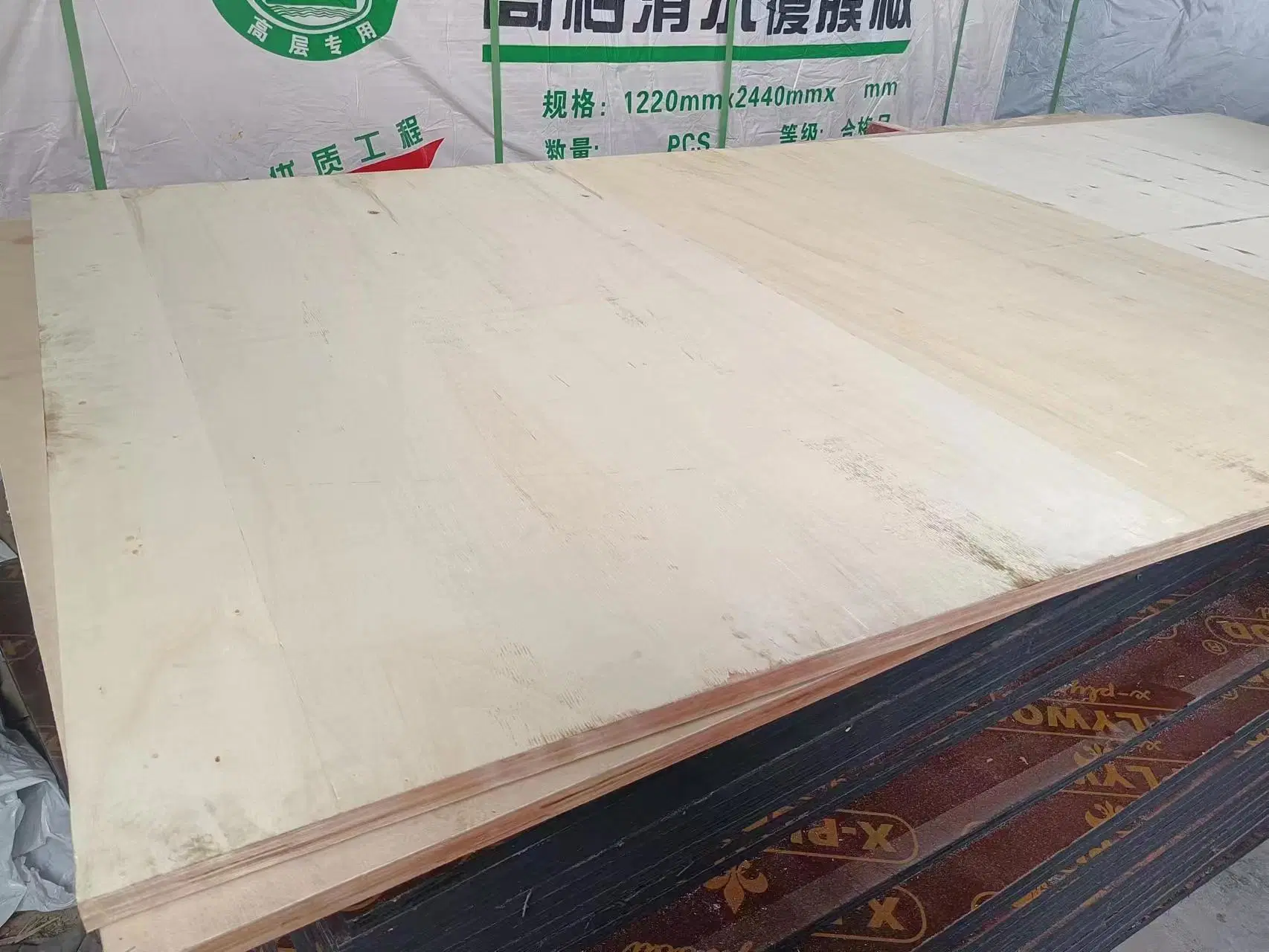 Poplar Plywood in Melamine Board / Marine Plywood / Birch Plywood/Bamboo Plywood