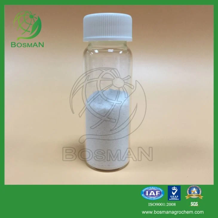 Good quality top sales pesticide Fluroxypyr 95% TC