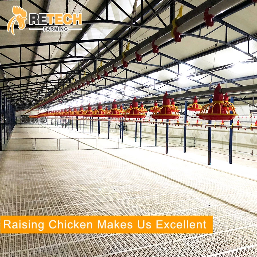 Good design light steel structure chicken farm poultry house in Africa