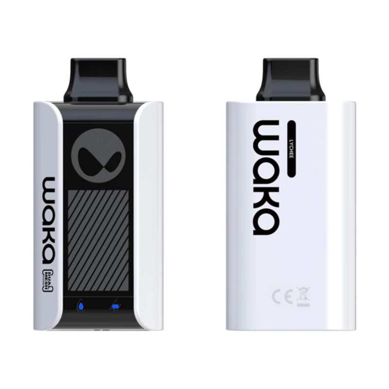 Europa Vape Großhandel Einweg Vape Portable Einweg Vaporizer Slim Vaporizer Pocket E Zigarettenbeleuchtung Vape Pen Waka