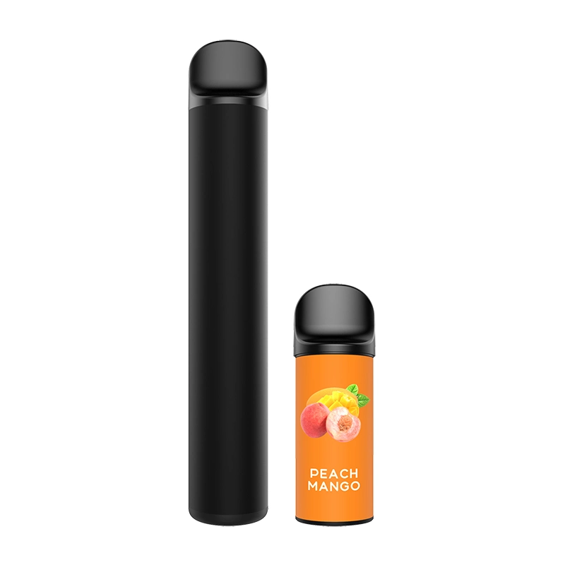 Smoke Bomb Magnet Design Disposable Vape Pod 10 Flavors Rechargeable Disposable Pod System