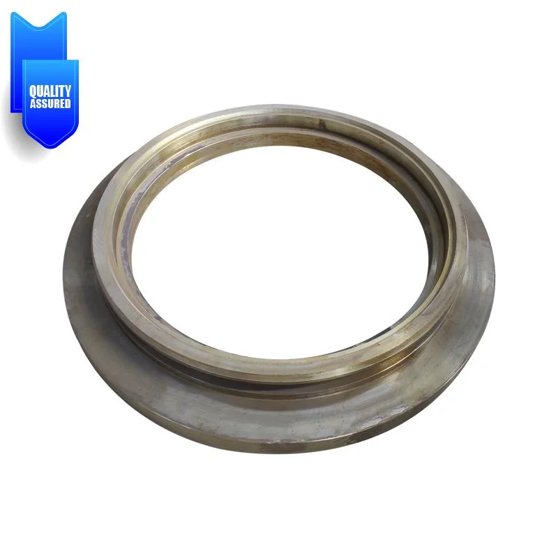 China Casting Forging Stainless Steel Valve Seat Ring, Cast Iron Valve Seat