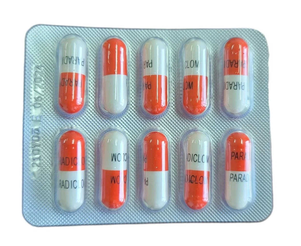 Piroxicam Capsules fini médecine occidentale Pharmaceuticals Drug