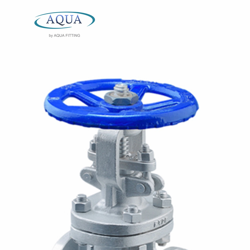 DIN Stainless Steel Gate Valves for Industry