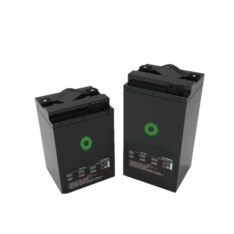 24V100ah Multi-Function Lithium Battery Rechargeable LiFePO4 Lithium Battery Portable Power Source