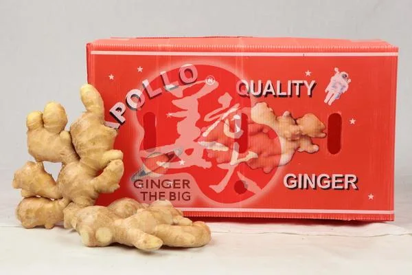 2020 Newest Harvested Delicious Air Dry Ginger