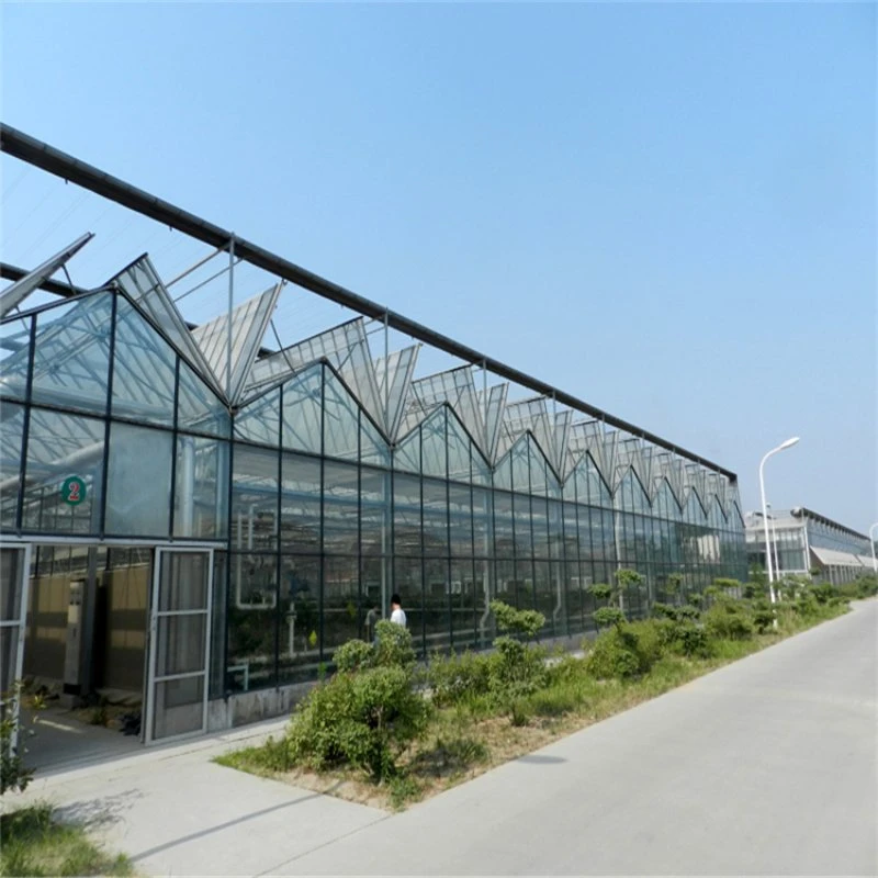 Advanced Agricultural Glass Green House with Automated Control System