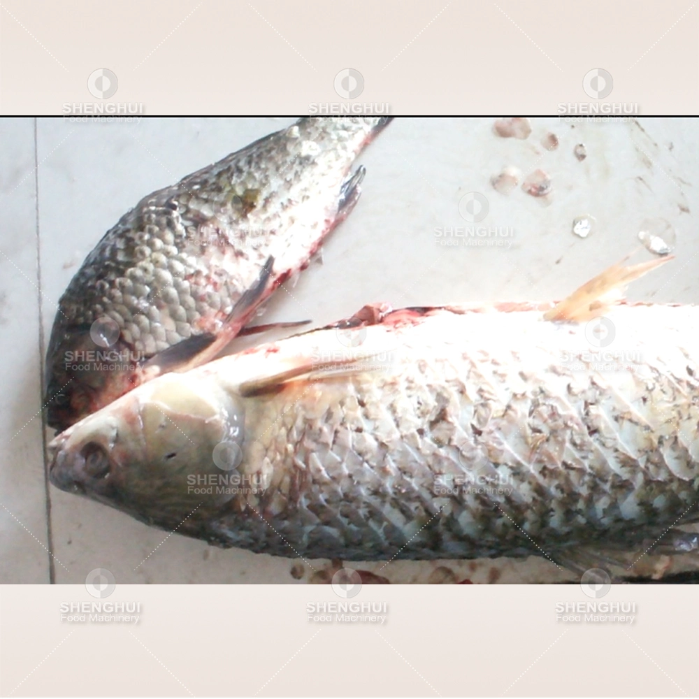 Automatic Fish Killing Machine Fish Killer Fish Cleaning Machine Fish Gutting Equipment