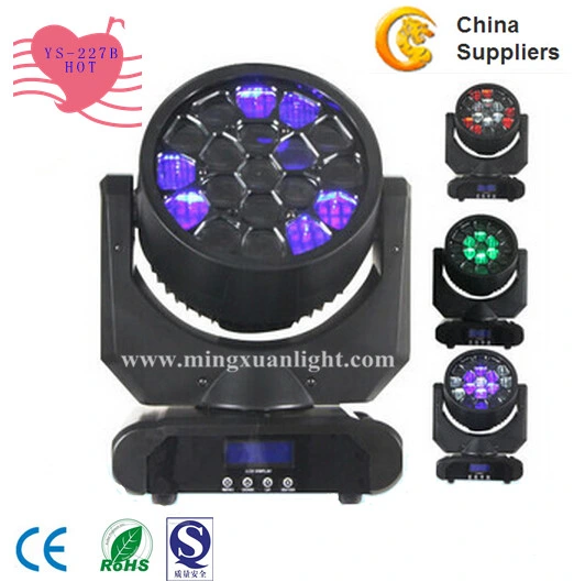 19X12W RGBW Moving Head LED Beam Light