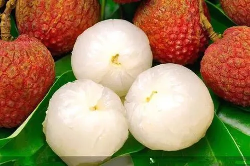 Frozen Peeled Litchi Frozen Tropical Fruits Lychee