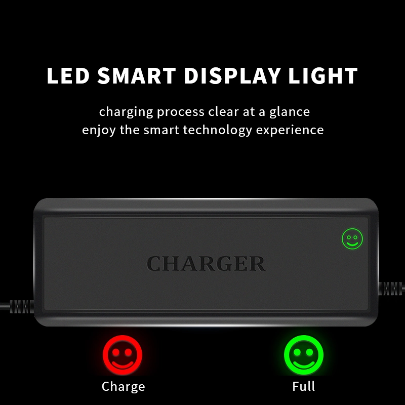 Special Charger for Lithium-Ion Batteries