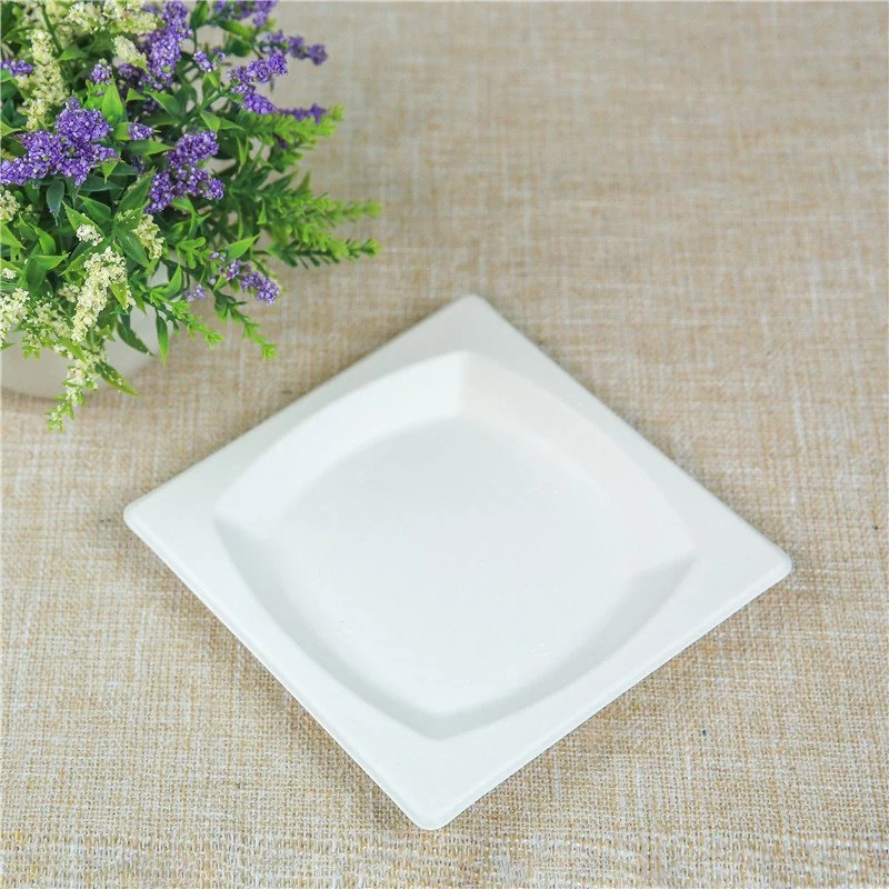 Bagasse Plate Square Plates Rectangle Sugarcane Bagasse White Plate 6/ 8.5/ 10 Inch Disposable Square Plate