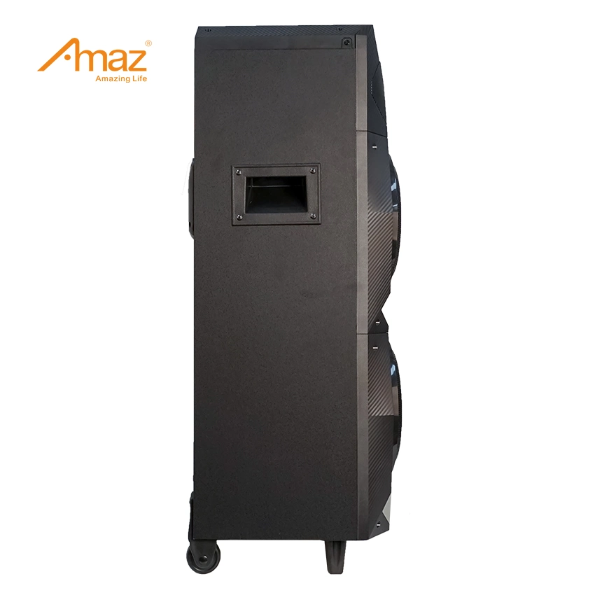 Amaz modelos privado Caja de madera el doble de 8 pulgadas de pilas recargables parte oradores