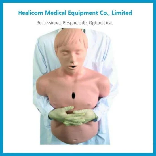 H-CPR155 Low Price Medical Human Model Hospital Human Body Model