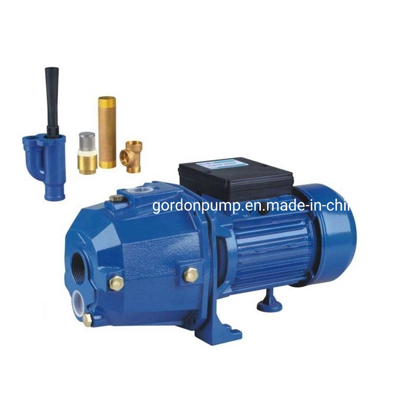 Electric Self Priming Deep Well Jet Pumps High Pressure Submersible Dp550A