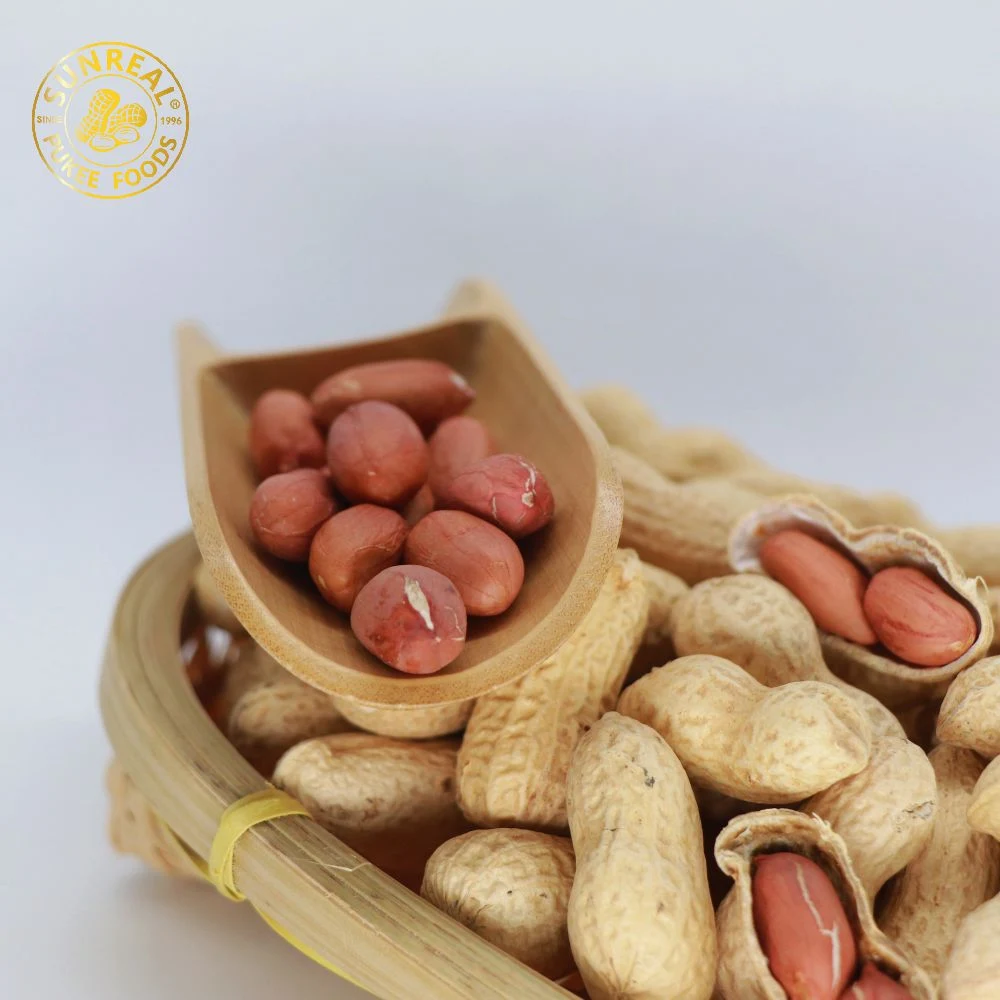 Raw Peanut Inshell /China /New Crop 13/15