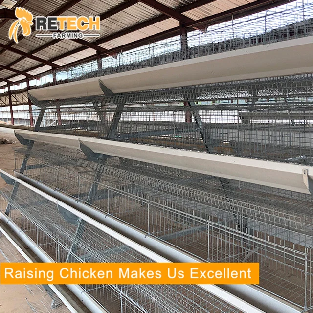 New Type H type layer rearing cage poultry equipment