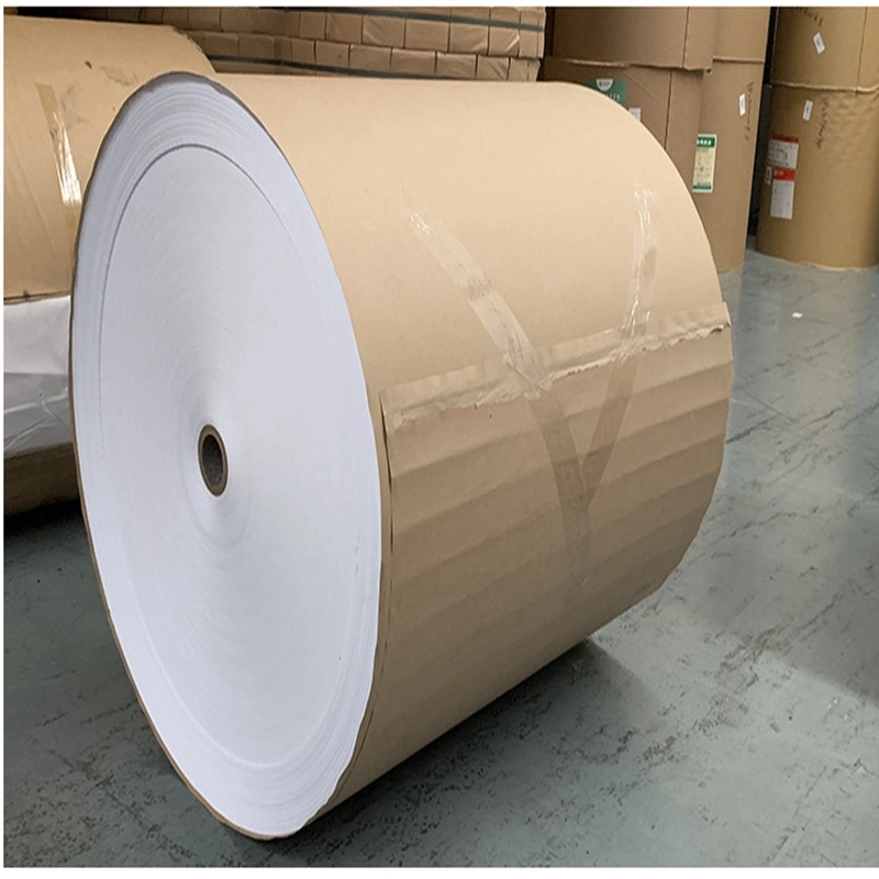 Cup Paper Raw Materials for Cups Coffee Beverage Use Paper Fan