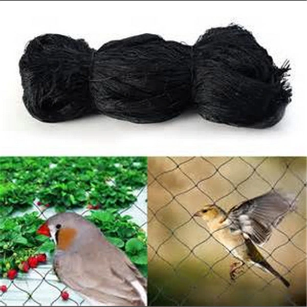 100% HDPE Agricultural Anti Bird Netting for Greenhouse