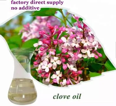 Oil Clove Essential Oil Buyer Clove Bud