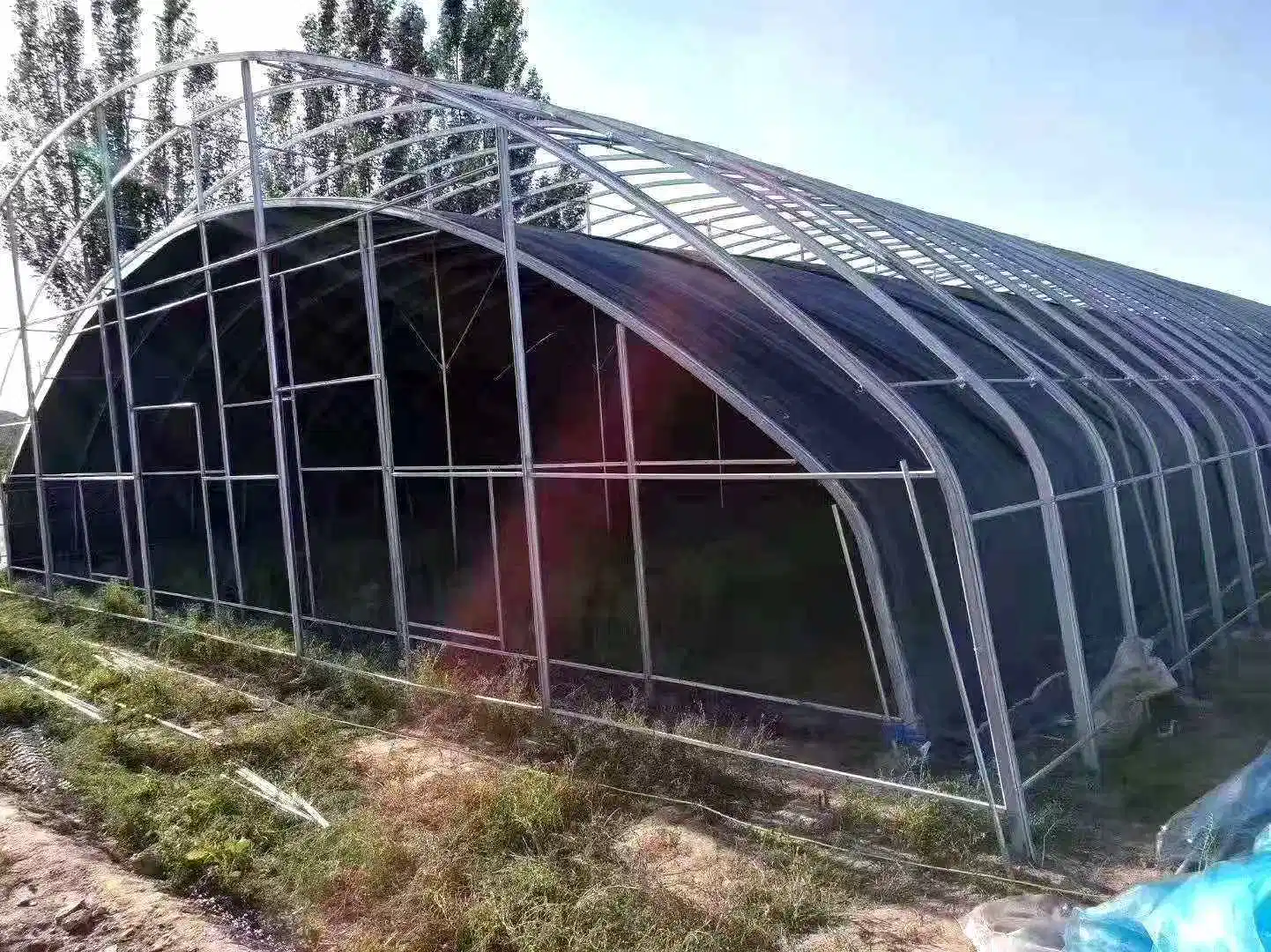 Seul Span serre avec film de type tunnel de rideaux de lumière pour effet de serre de privation de champignon