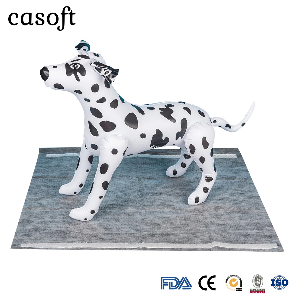 Hersteller Casoft Best Selling Training High Absorption Einweg Indoor Voll Größe Pet PISSE Pads liefern Japan Korea