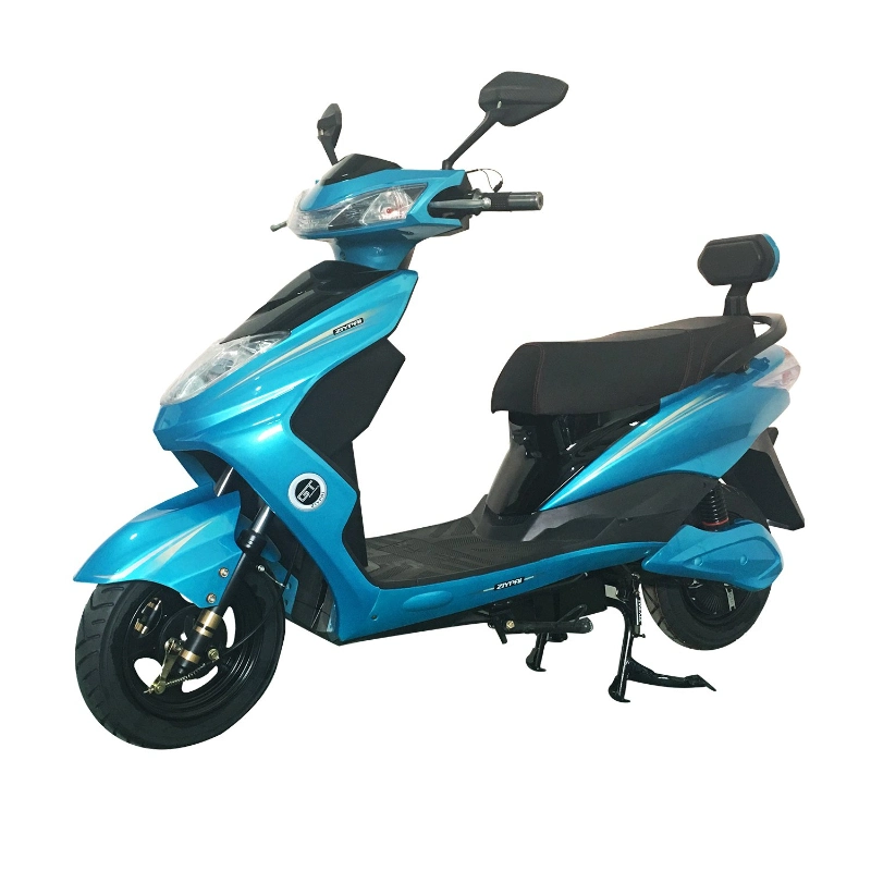 Electric Scooter Electric Motorcycle with Lead Acid Battery 800W Motorbike