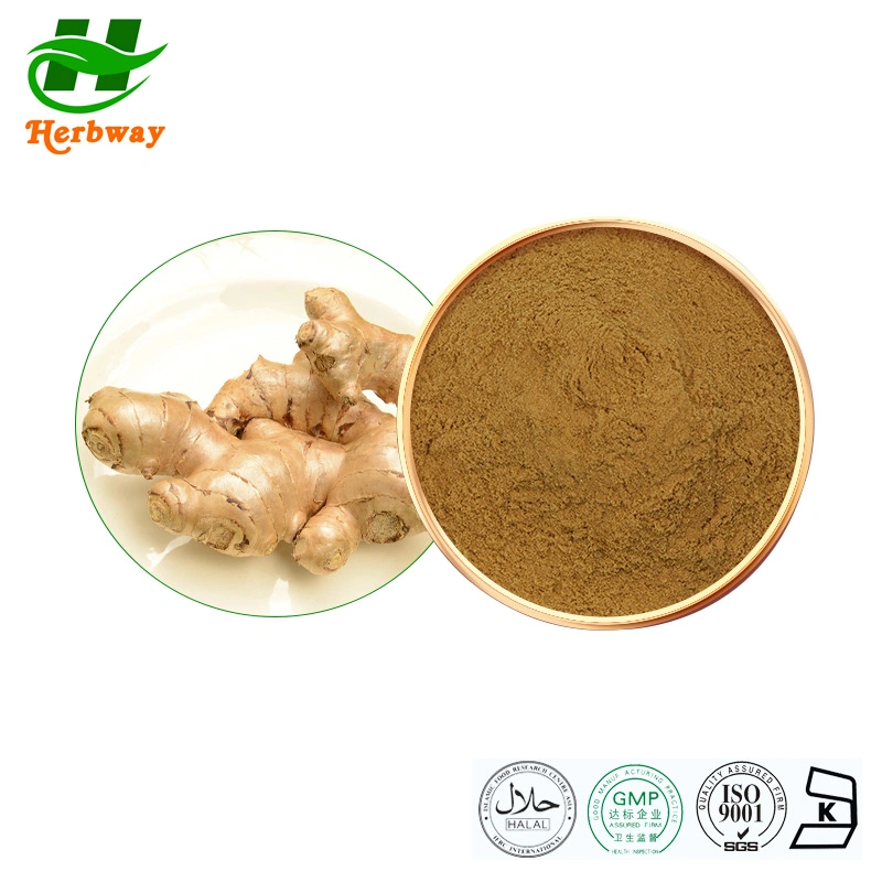 Herbway Anti-Hypertensionfactory Direct Sale Zingiber Officinale Extract Ginger Root Powder