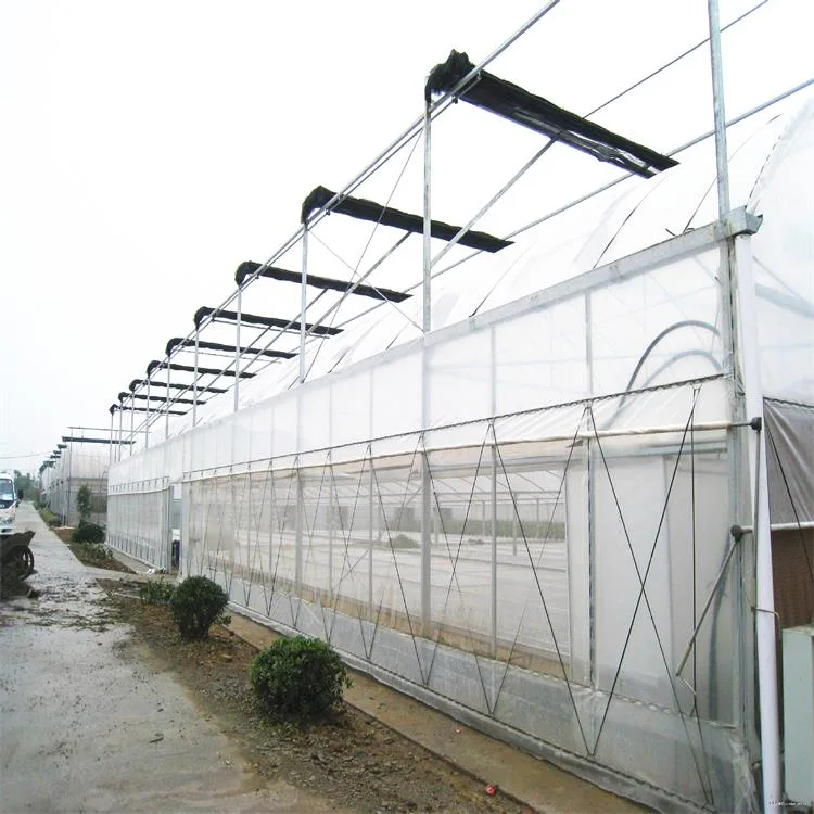 2022 Hydroponics Vegetable Greenhouses Tunnel Film Greenhouse Agricultural Green Houses for Sale