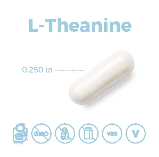 Wholesale/Supplier Green Tea Extract Natural L-Theanine Powder L Theanine Capsules