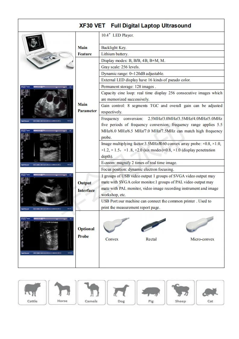 Xf30V, Vet Laptop Ultrasound Scanner, Veterinary Ultrasound Equipment, Equine Ultrasound, High Resolution Veterinary Dignostic Ultrasound Machine