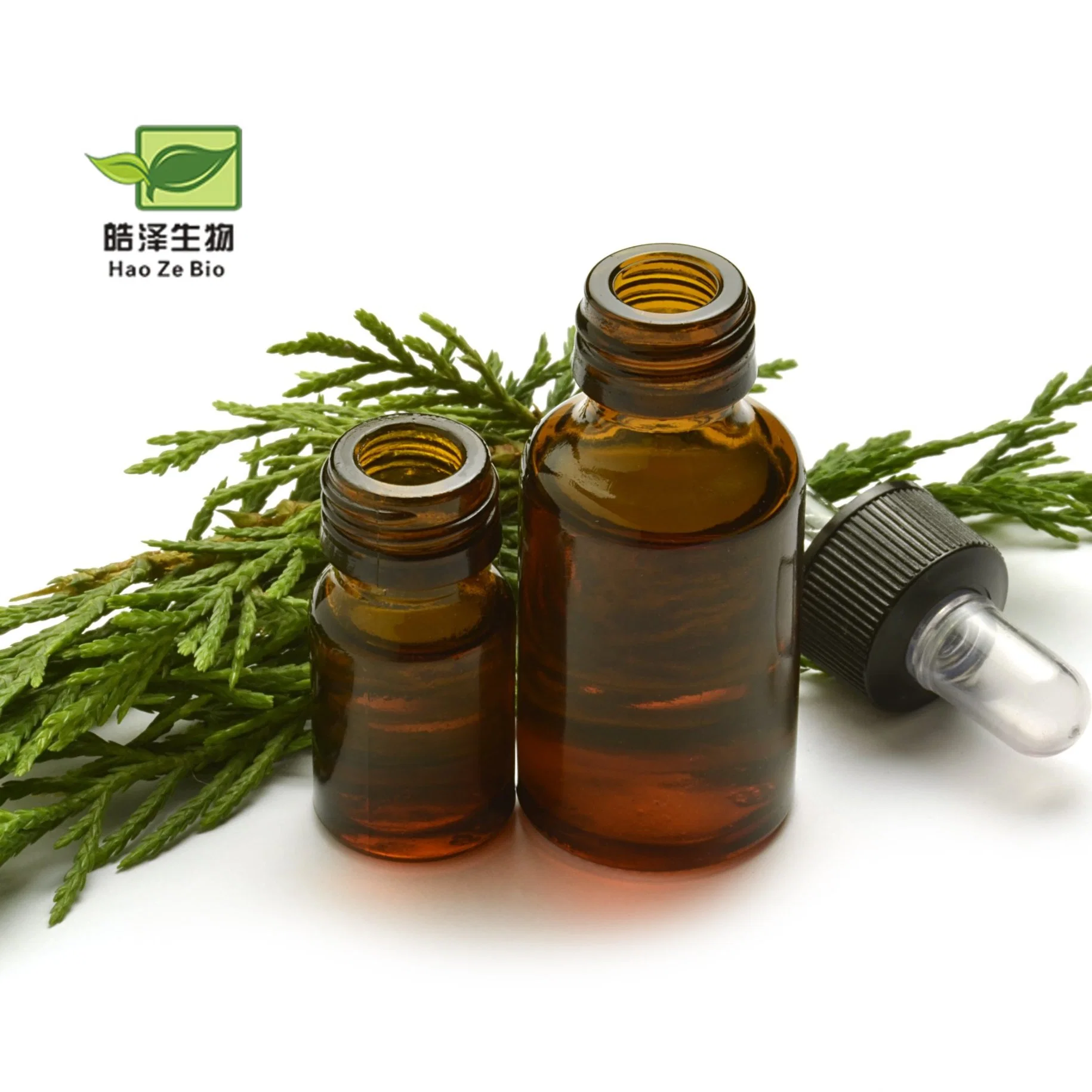 100% Pure Organic Natural Plant Essential Massage Oil Cypress Essential Oil