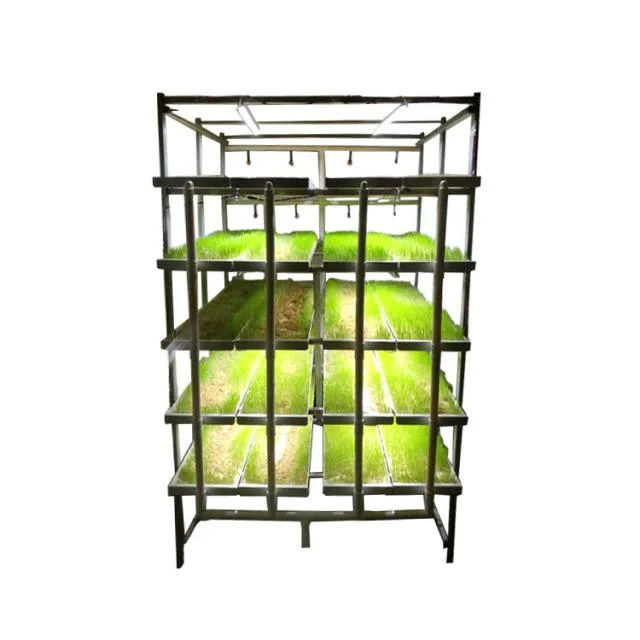 a Transportable Container Farm Vegetable Hydroponics Greenhouse