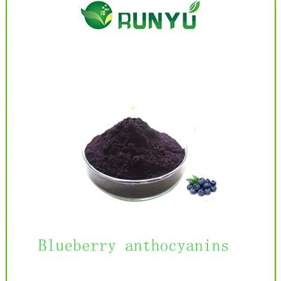 Hot vendre le produit extrait de bleuet Anthocyanidin 25 % d'anthocyanine 36 %