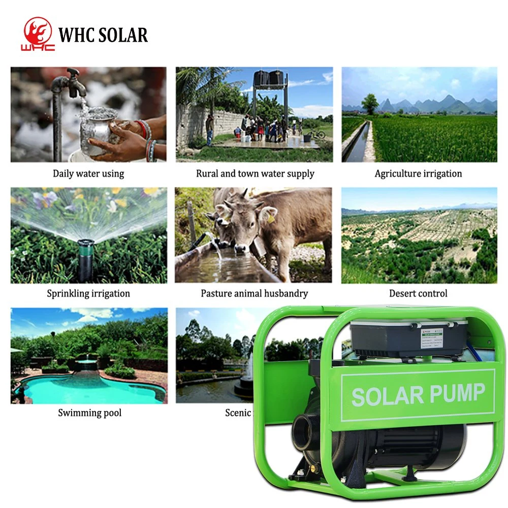 WHC batería de CA DC 3 pulgadas 1500W Ahorro de energía solar Bomba de agua de pozo profundo para agua viva