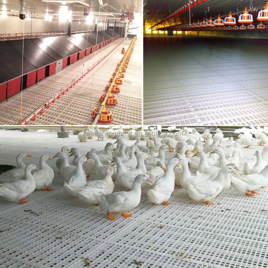 La Originales de fábrica de pollo broiler automático de la casa de aves de corral de material agrícola