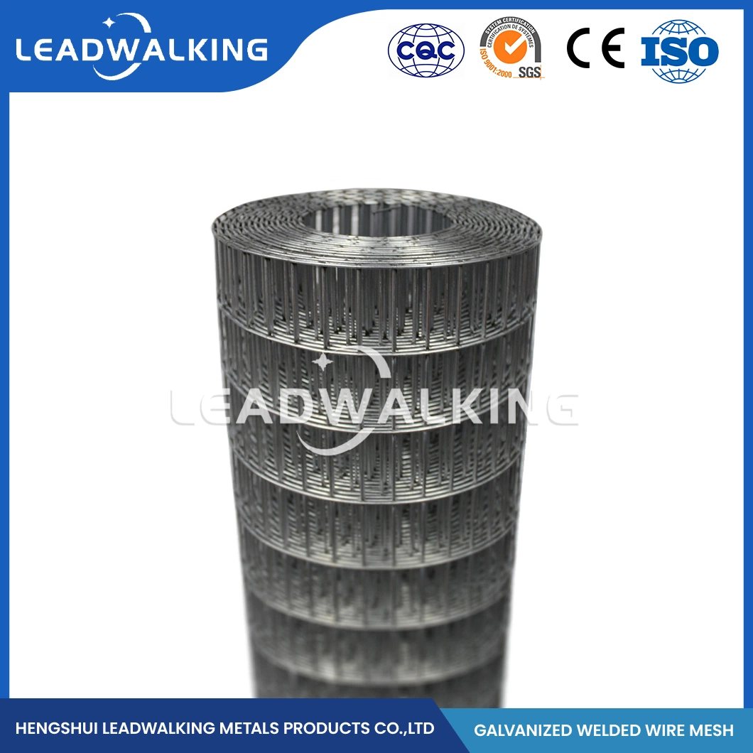 Leadwalking Welded Iron Wire Mesh Suppliers OEM Customized 48 Inch Welded Wire Fence China 1/2"X1/2" Inch Zinc Coated Galvanized Welded Wire Mesh