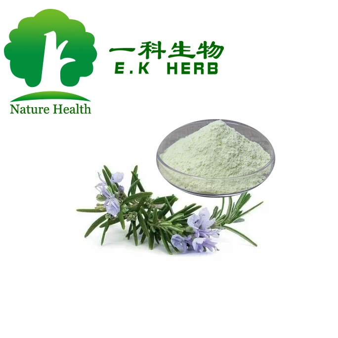 E. K Herb Rosemary Herbal Extract Natural Rosemary P. E. Powder Rosmarinic Acid 5%-98% Ursolic Acid 5%-98% Carnosic Acid 5%-95%