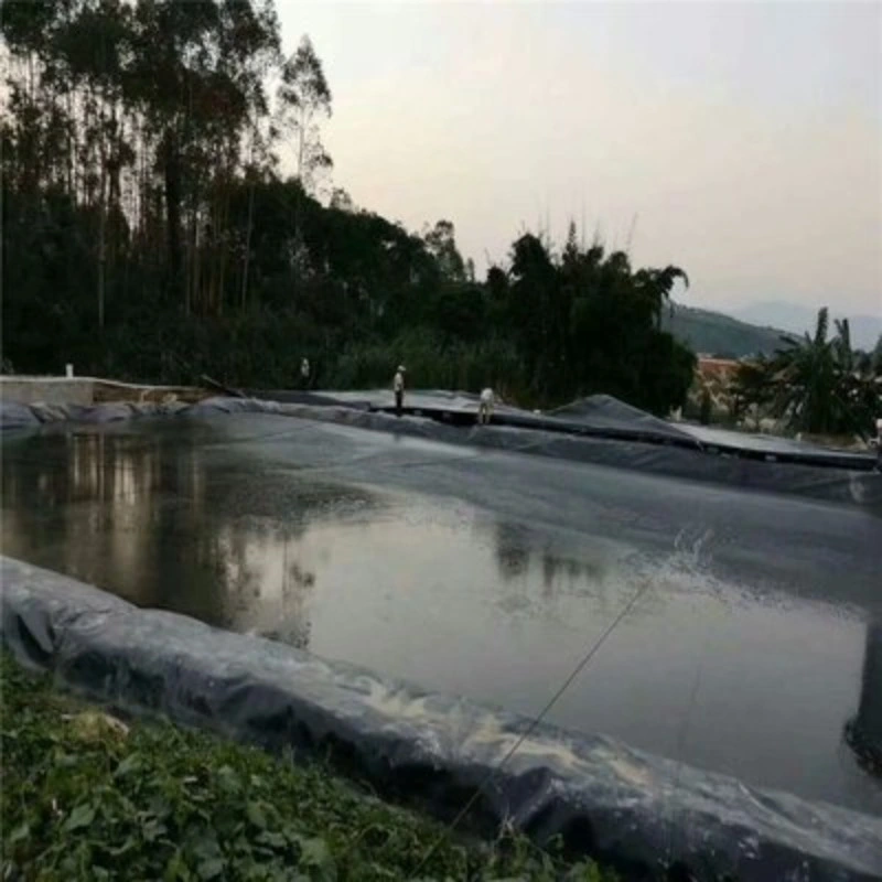 Цена на заводе с УФ защитой HDPE ПВХ EVA гидроизоляции Geomembrane