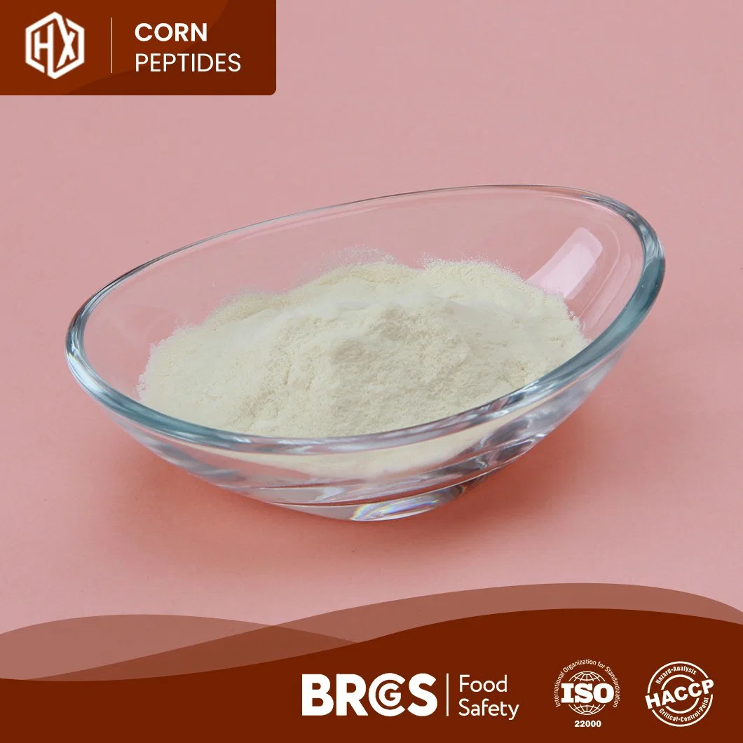 Haoxiang Supply Organic Corn Protein Peptide Meal Cornbean Protein Fiber Isolate Concentrate Powder High quality/High cost performance  Small Molecular Active Corn Collagen Peptide