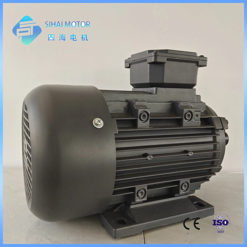 Le2/Le3 Efficiency 1.5HP 1.1kw Cast Iron AC Electric Three Phase Motor