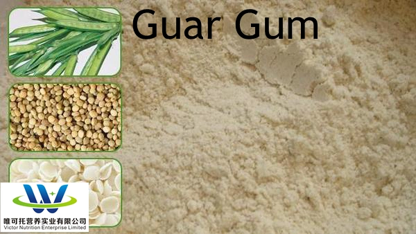 Fiber Finished Bulk Mill Food Garde Guar Gum