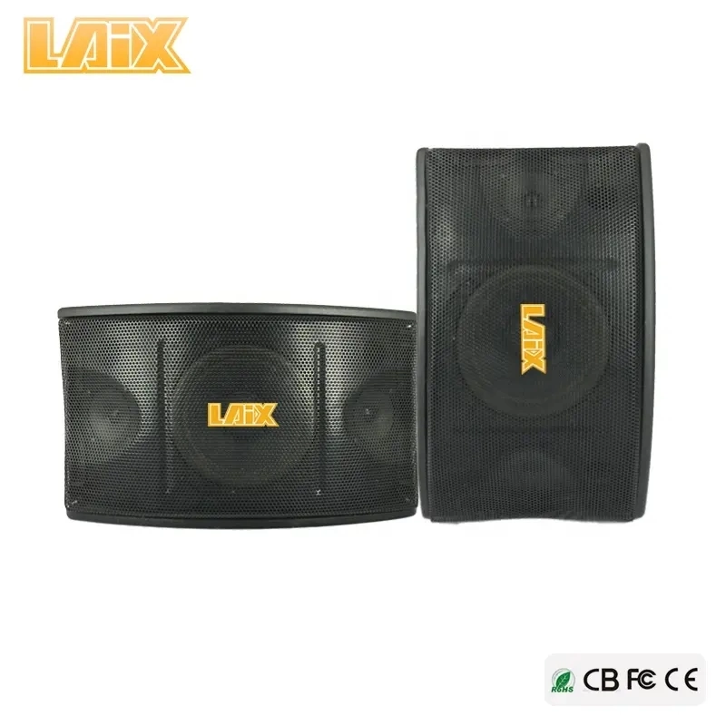 120W 10 Inch Black Karaoke Wall Speaker for Conference and KTV