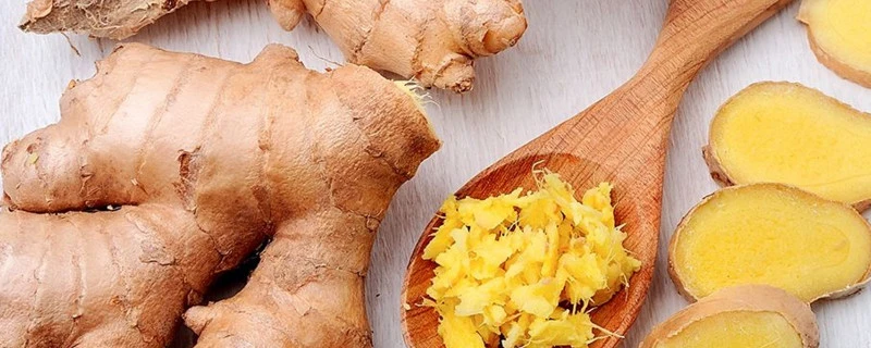 Natürliche Antioxidation Pflanzenextrakt 95%Gingerol Ingwer-Wurzel-Extrakt 10: 1ginger Wurzel-Extrakt