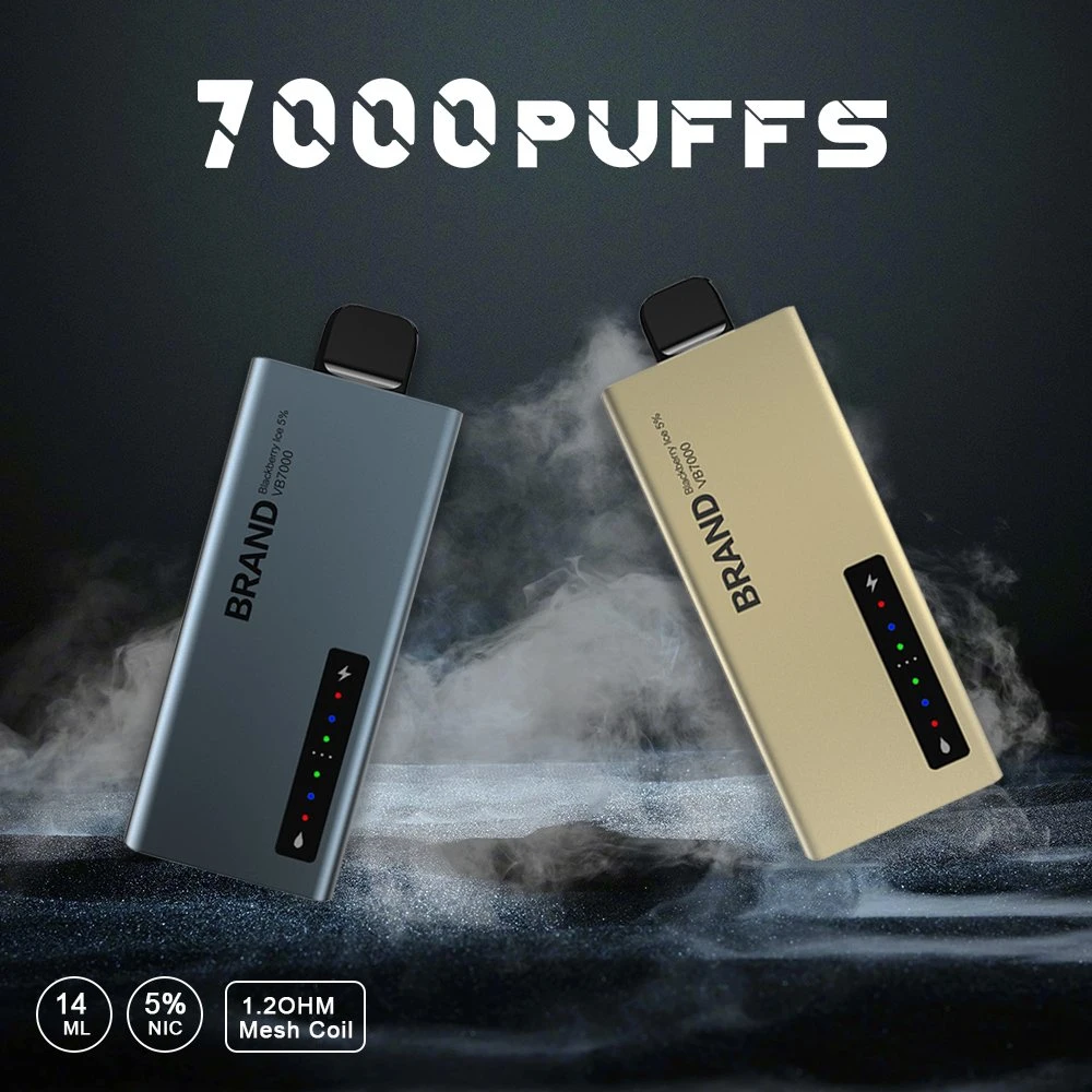 Wholesale/Supplier Best Popular Puff Ecig Bar 7000 Puffs Disposable/Chargeable Screen Display Vape Pen Hot in Middle East