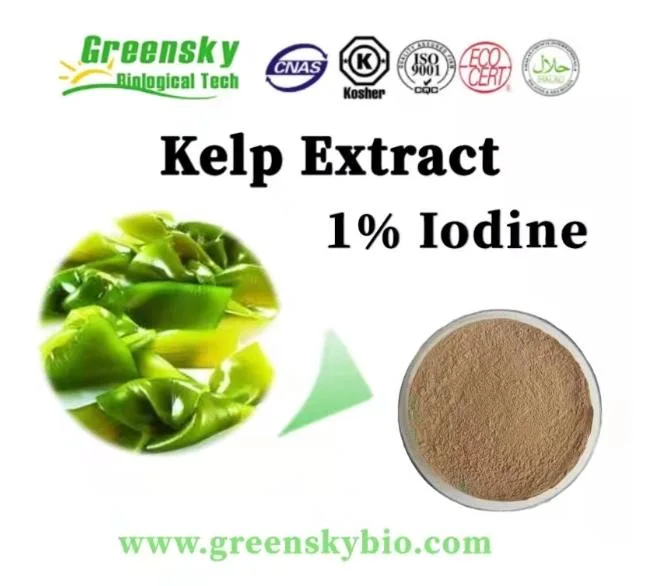 100% Natural Seaweed Extract Laminaria Japonica Kelp Extract Fertilizer Plant Extract Herbal Extract Food Additive